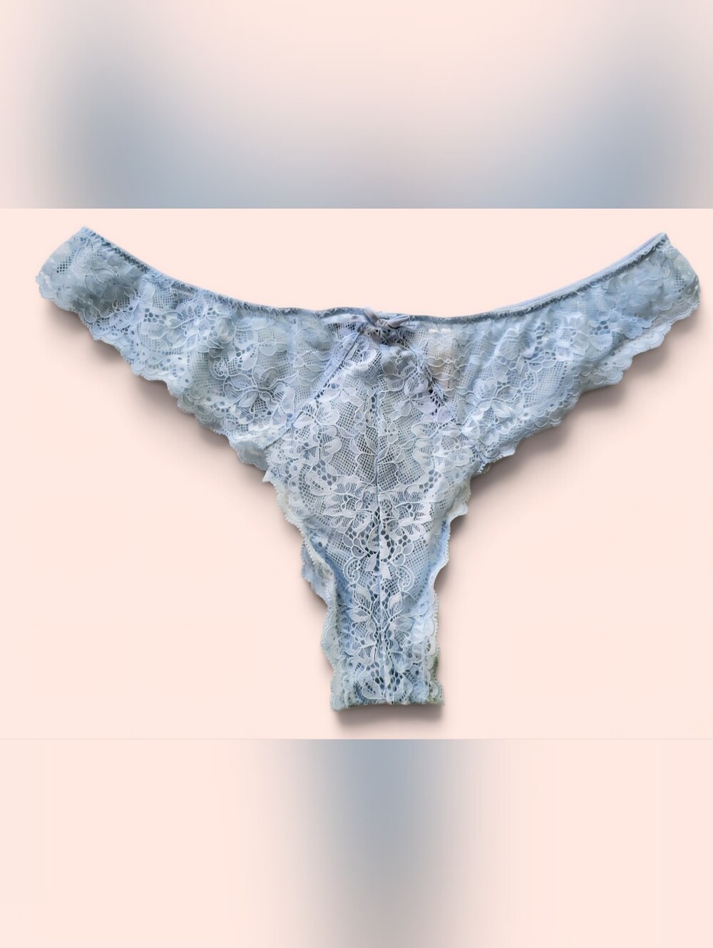 Fleur du Mal Panties Pale Blue Lace Cheeky Bikini Size 4 / L
